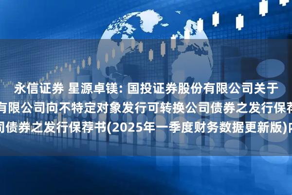 永信证券 星源卓镁: 国投证券股份有限公司关于宁波星源卓镁技术股份有限公司向不特定对象发行可转换公司债券之发行保荐书(2025年一季度财务数据更新版)内容摘要