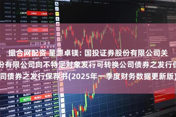 撮合网配资 星源卓镁: 国投证券股份有限公司关于宁波星源卓镁技术股份有限公司向不特定对象发行可转换公司债券之发行保荐书(2025年一季度财务数据更新版)内容摘要