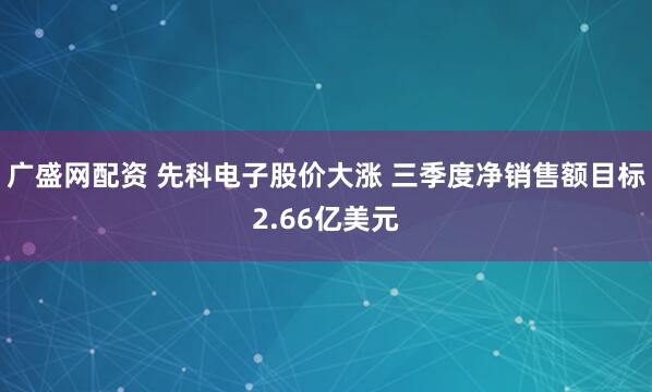 广盛网配资 先科电子股价大涨 三季度净销售额目标2.66亿美元