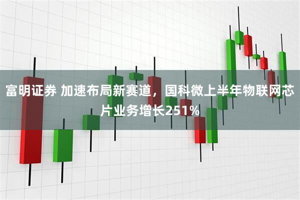 富明证券 加速布局新赛道，国科微上半年物联网芯片业务增长251%