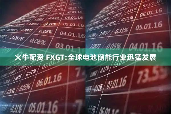 火牛配资 FXGT:全球电池储能行业迅猛发展
