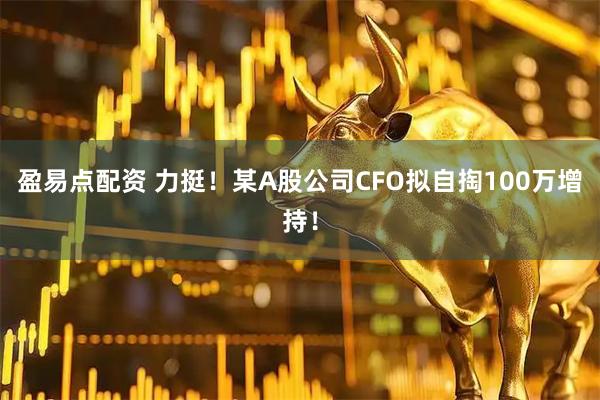 盈易点配资 力挺！某A股公司CFO拟自掏100万增持！