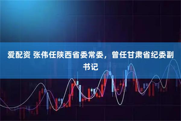 爱配资 张伟任陕西省委常委，曾任甘肃省纪委副书记
