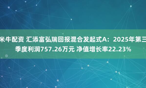 米牛配资 汇添富弘瑞回报混合发起式A：2025年第三季度利润757.26万元 净值增长率22.23%