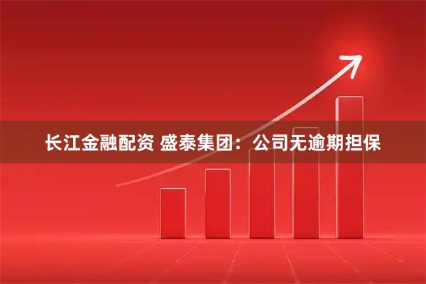 长江金融配资 盛泰集团：公司无逾期担保