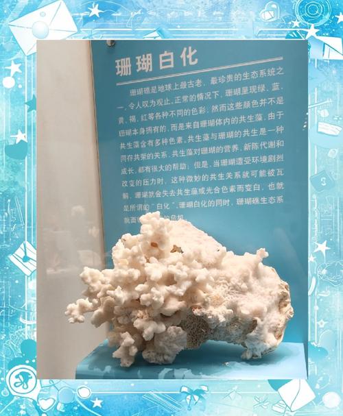 新闻中心 第6页