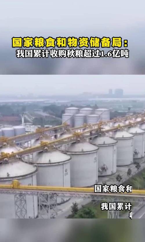 秋粮收购达3.45亿吨,秋粮收购达3.45亿吨价格
