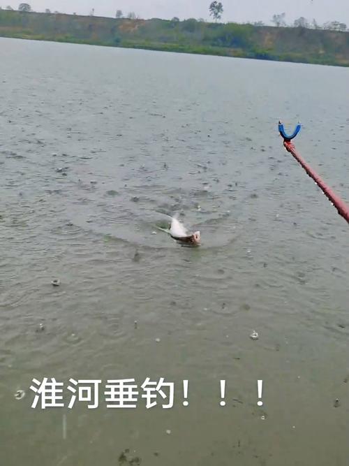 保护区里的疯狂垂钓,保护区里的疯狂垂钓是什么