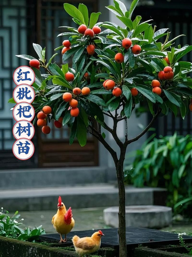 解决方案 第13页